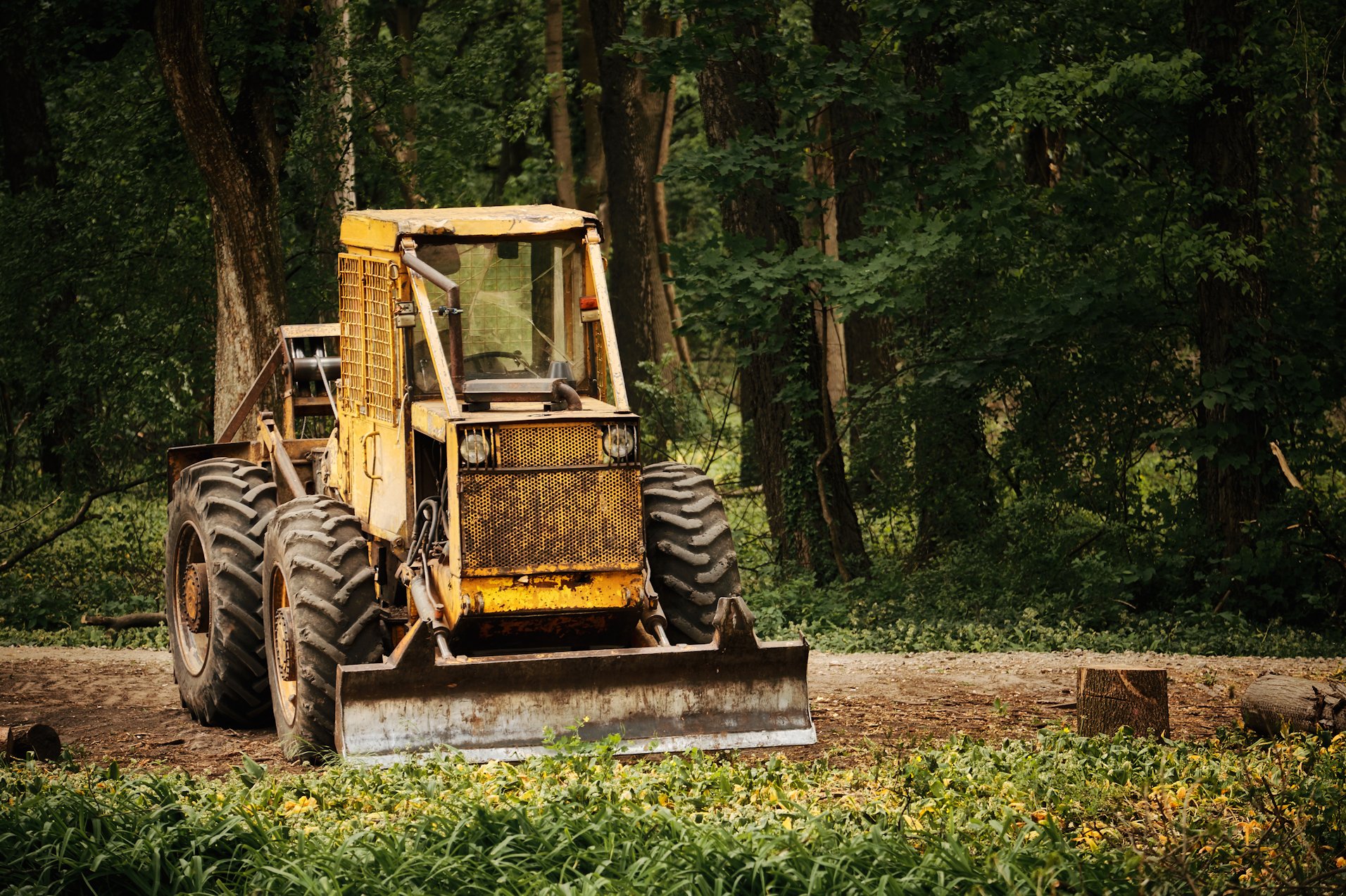AGRICULTURE